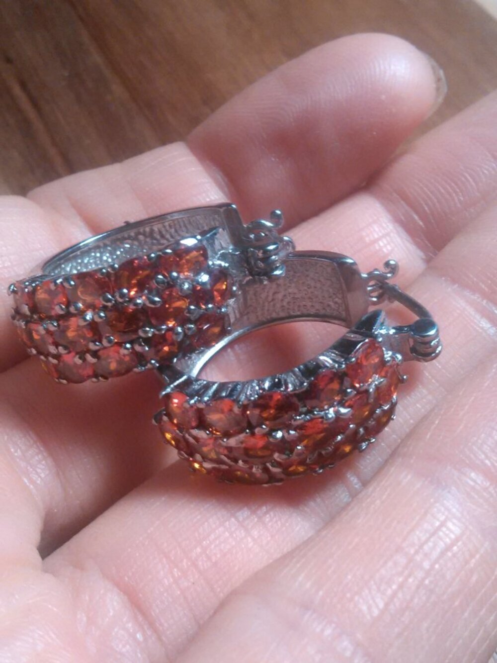 Simulated Garnet Color Diamond Stainless Steel Hoop Earrings